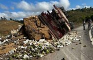 Criança sergipana morre após caminhão tombar em Minas Gerais