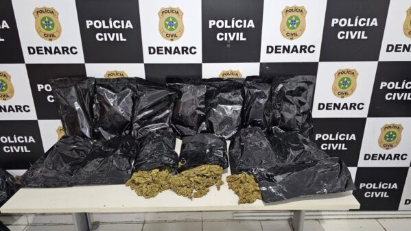 Durante investigações Polícia Civil apreende 7kg de 'flor de cannabis' A ação aconteceu na noite dessa terça-feira