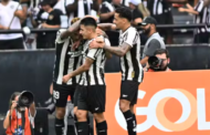 Botafogo vence o São Paulo e é campeão brasileiro após 29 anos