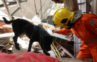 Corpo de Bombeiros Militar de Sergipe atendeu 9.145 ocorrências