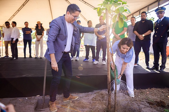 Um Marco Sustentável: Plantar árvores é cuidar do futuro da cidade