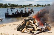 Polícia Federal e Ibama realizam operação contra pesca ilegal no Rio São Francisco