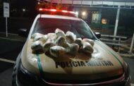 Batalhão de Polícia Rodoviária Estadual prende homem que transportava 11 kg de maconha dentro de carro