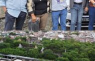 Clube Antigos do Farol se soma ao Projeto de Revitalização do Complexo Ferroviário de Aracaju