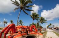 Caranguejo Gigante vai ser restaurado — mas será que ele está no lugar certo?