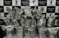 Polícia apreende 22 Kg de ‘flor da maconha’ avaliados em R$ 300 mil, no interior de Sergipe