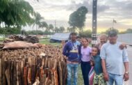 Tradição das fogueiras juninas aquece a cultura e garante renda para famílias no mês de junho