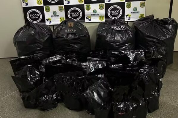 FICCO/SE apreende 110 kg de maconha em Frei Paulo
