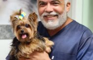 Médico veterinário morre em grave acidente na SE-339, entre Serra do Machado e Dores