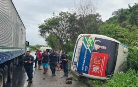 Micro-ônibus da Coopertalse tomba na BR-101 e deixa feridos em Rosário do Catete