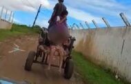 Alunos de Nossa Senhora do Socorro são transportados em carroça; assista
