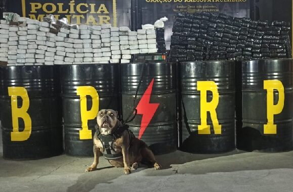 Radiopatrulha apreende mais de 200 kg de drogas em Nossa Senhora do Socorro