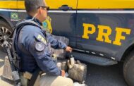 Polícia Rodoviária Federal apreende 91 garrafas de vinhos importados sem nota fiscal no interior de Sergipe