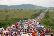 Milhares de fiéis participam da Romaria em Nossa Senhora Aparecida