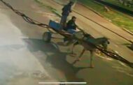 Banheiro químico furtado é recuperado pela Guarda Municipal no bairro Santos Dumont