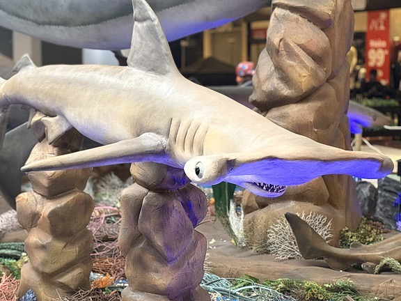 Fundação Mamíferos Aquáticos promove visitas guiadas à exposição “Sharks & Cia”