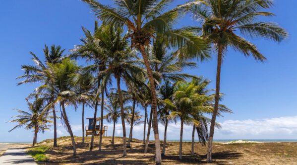 Verão Sergipe 2026 evidencia belezas de Pirambu e reforça vocação turística do litoral norte sergipano