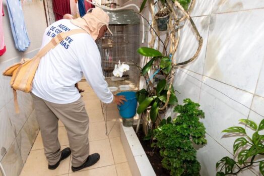 Segundo LIRAa do ano identifica seis municípios sergipanos com alta infestação do Aedes aegypti