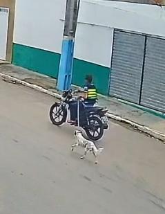 Polícia Civil identifica suspeito de maus-tratos a animal no interior de Sergipe