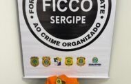 Forças de Segurança prendem homem em flagrante e apreendem 10 kg de maconha em São Cristóvão