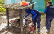 Divisão de Animais Comunitários da UFS reforça o combate ao abandono de animais nos campi