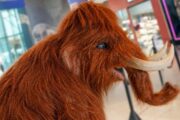 Shopping Jardins promove encontros inéditos com Mamute e Mamutinho neste fim de semana