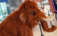 Shopping Jardins promove encontros inéditos com Mamute e Mamutinho neste fim de semana